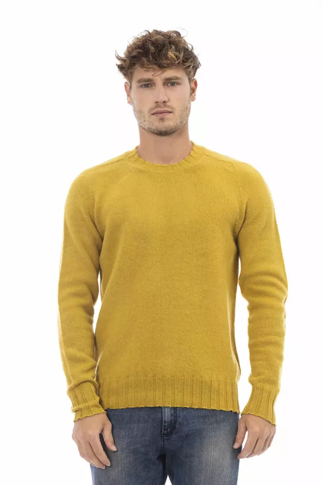 Men's cashmere sweater-Alpha Studio  Wool Men's Sweater